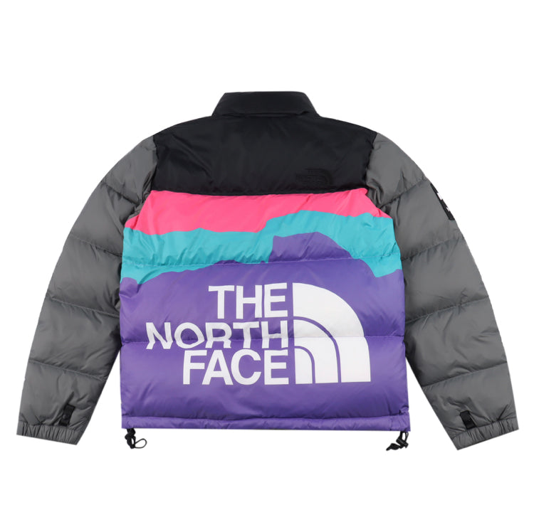 The north face Hoodie